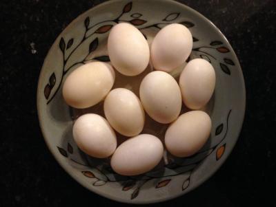 Duck Eggs