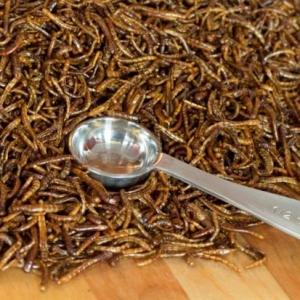 Roasted Mealworms . Multiple product options available: 3