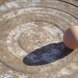 Pastured Chicken Eggs