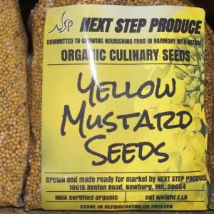 Yellow Mustard Seeds