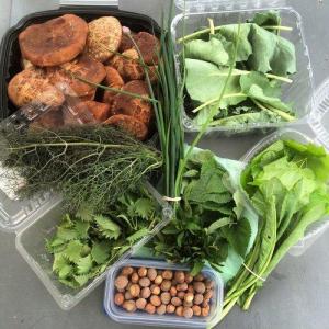 A Forest Garden CSA Season Share