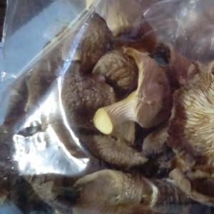 Dried mushrooms