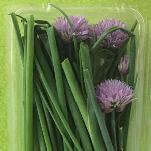 Chives. Multiple product options available: 2