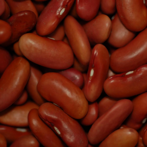 Beans--Red Kidney