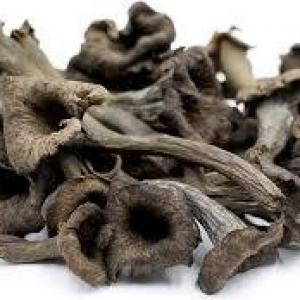 Black Trumpet Mushrooms