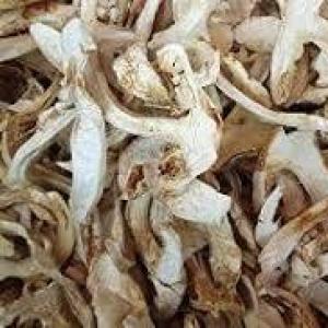 Dried Matsutake Mushroom