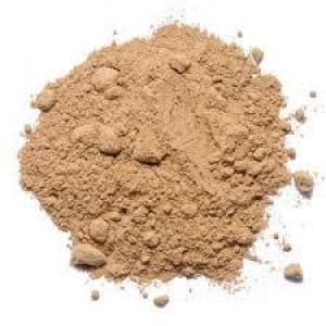 Wild Porcini Mushroom Powder