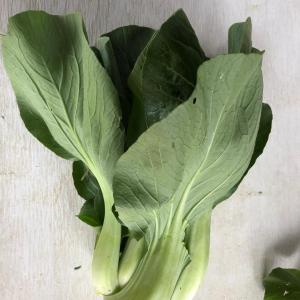 Produce- Bok Choy