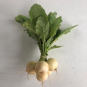 Produce- Turnips, Baby