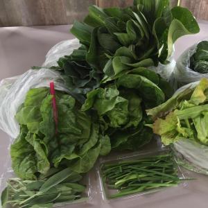 Weekly Produce Box