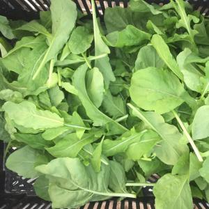 Produce- Arugula