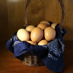 Pastured soy free chicken eggs. Multiple product options available: 2