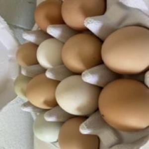 Pastured eggs