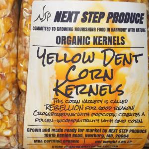 corn kernels - yellow dent. Multiple product options available: 5