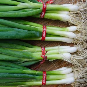 Scallions - green