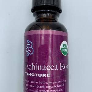 Echinacea Root Extract (Fresh Root) 