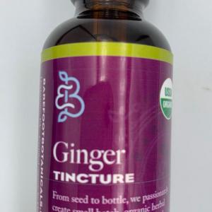 Ginger Extract (Fresh Root) 