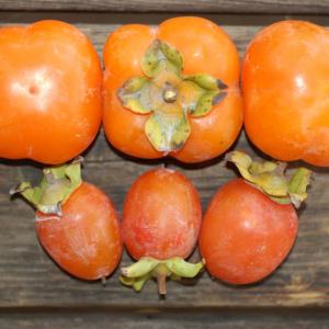 persimmon - astringent (must be eaten soft). Multiple product options available: 3