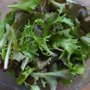 mesclun mix