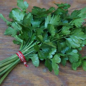 parsley - flatleaf