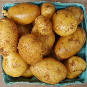 potatoes - yellow/yellow. Multiple product options available: 2