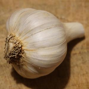 garlic. Multiple product options available: 2