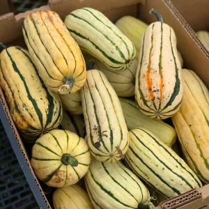 Produce- Winter Squash