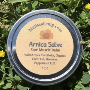 Arnica Salve