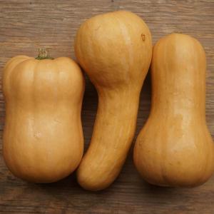 winter squash - butternut. Multiple product options available: 3