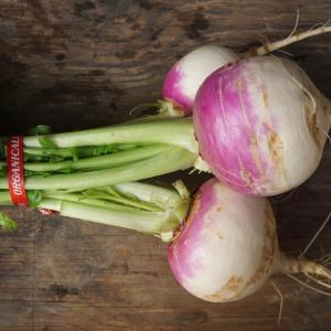 turnips - purple top white globe with tops