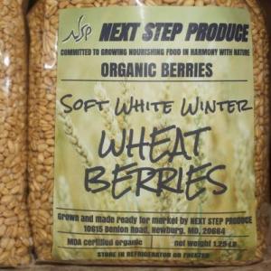 wheat berries - soft white winter